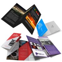 Folded Flyer & Cataloged